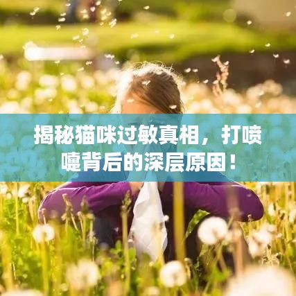 揭秘貓咪過敏真相，打噴嚏背后的深層原因！