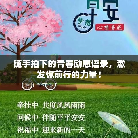 隨手拍下的青春勵(lì)志語(yǔ)錄，激發(fā)你前行的力量！