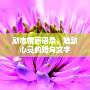 勵(lì)志情感語錄，觸動(dòng)心靈的短句文字