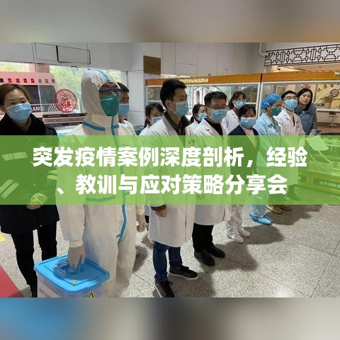 突發(fā)疫情案例深度剖析，經(jīng)驗(yàn)、教訓(xùn)與應(yīng)對(duì)策略分享會(huì)