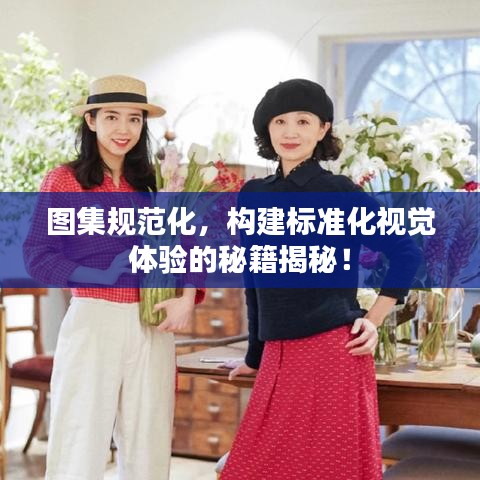 圖集規(guī)范化，構建標準化視覺體驗的秘籍揭秘！