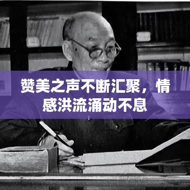 贊美之聲不斷匯聚，情感洪流涌動(dòng)不息