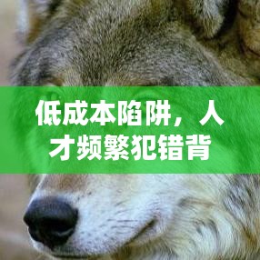 低成本陷阱，人才頻繁犯錯(cuò)背后的原因揭秘