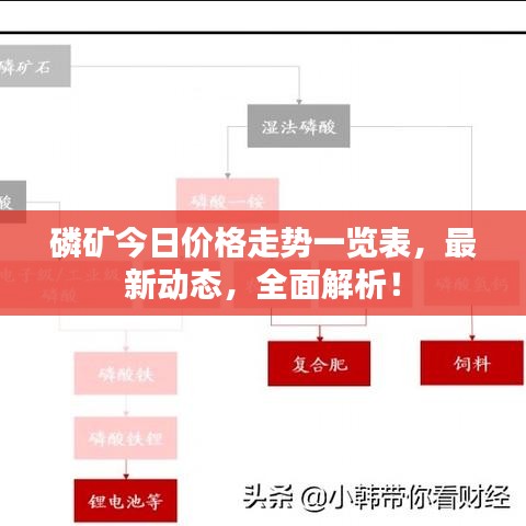 磷礦今日價格走勢一覽表，最新動態(tài)，全面解析！