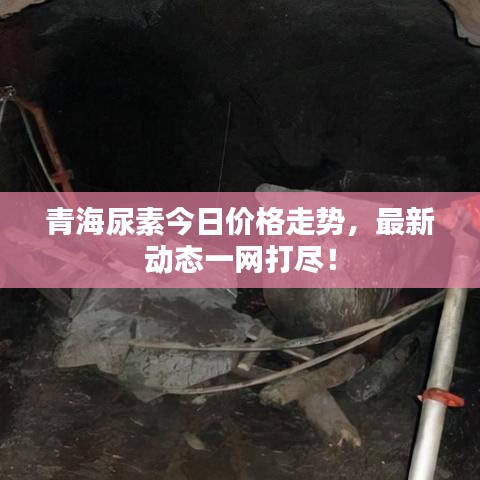青海尿素今日價格走勢，最新動態(tài)一網(wǎng)打盡！
