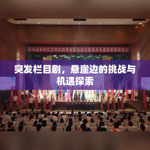 雍榮閑雅 第2頁