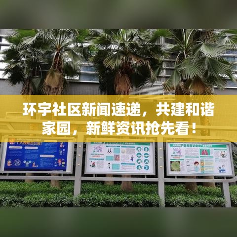 環(huán)宇社區(qū)新聞速遞，共建和諧家園，新鮮資訊搶先看！