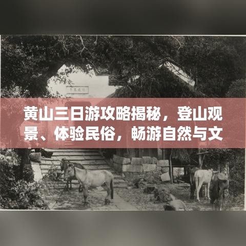 黃山三日游攻略揭秘，登山觀景、體驗(yàn)民俗，暢游自然與文化的盛宴！