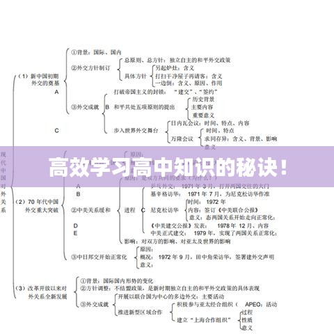 高效學(xué)習(xí)高中知識的秘訣！