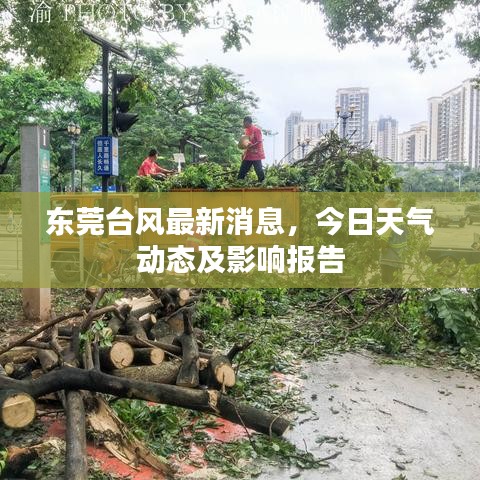 東莞臺風(fēng)最新消息，今日天氣動態(tài)及影響報告
