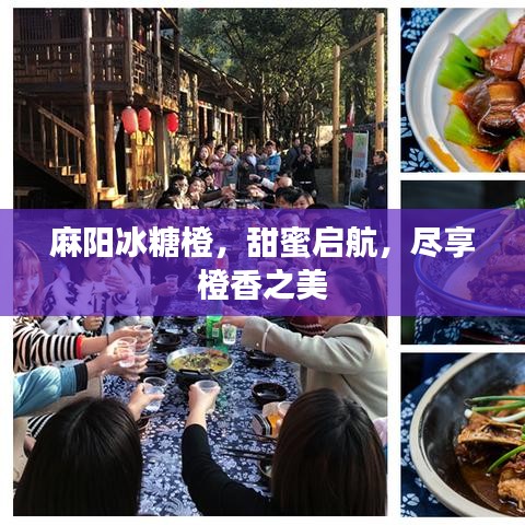 麻陽冰糖橙，甜蜜啟航，盡享橙香之美