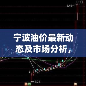 寧波油價(jià)最新動(dòng)態(tài)及市場分析，今日關(guān)注焦點(diǎn)