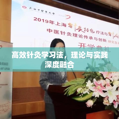 高效針灸學(xué)習(xí)法，理論與實(shí)踐深度融合