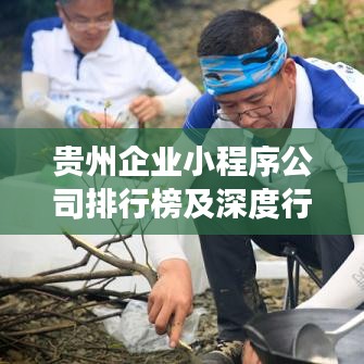 貴州企業(yè)小程序公司排行榜及深度行業(yè)洞察揭秘！