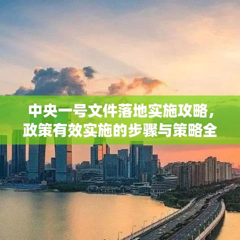 中央一號(hào)文件落地實(shí)施攻略，政策有效實(shí)施的步驟與策略全解析