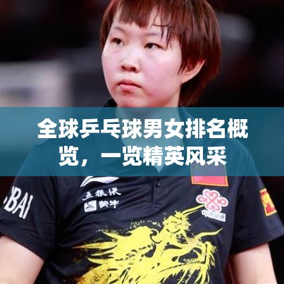 全球乒乓球男女排名概覽，一覽精英風(fēng)采