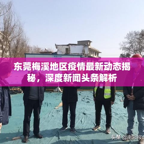 東莞梅溪地區(qū)疫情最新動(dòng)態(tài)揭秘，深度新聞?lì)^條解析