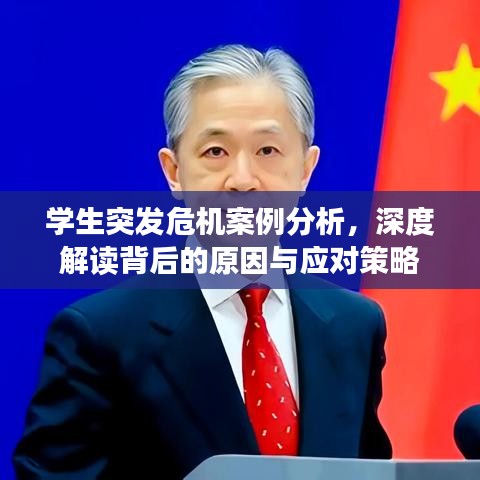 學(xué)生突發(fā)危機(jī)案例分析，深度解讀背后的原因與應(yīng)對(duì)策略