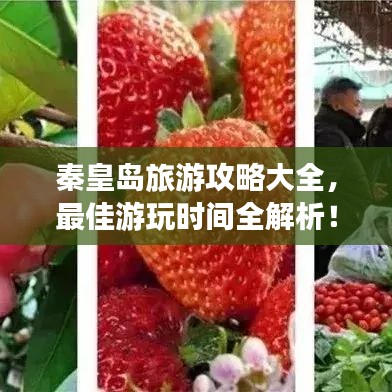 秦皇島旅游攻略大全，最佳游玩時(shí)間全解析！