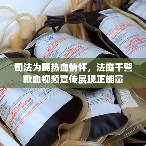 司法為民熱血情懷，法庭干警獻(xiàn)血視頻宣傳展現(xiàn)正能量