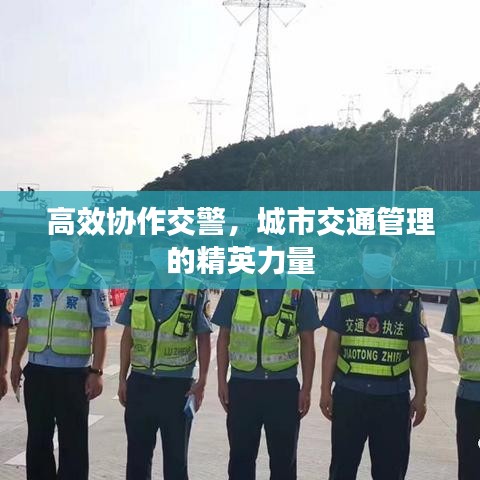 高效協(xié)作交警，城市交通管理的精英力量