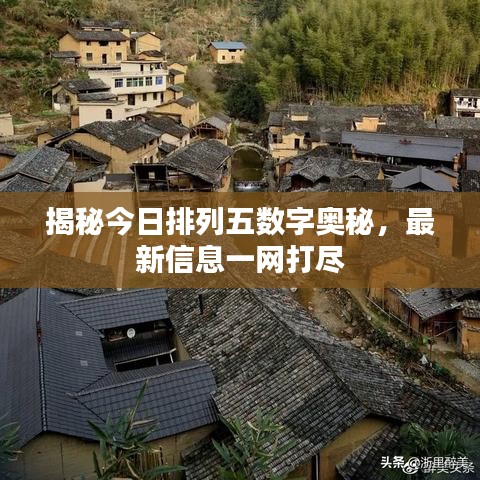 揭秘今日排列五數(shù)字奧秘，最新信息一網(wǎng)打盡