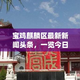 寶雞麒麟?yún)^(qū)最新新聞?lì)^條，一覽今日熱點(diǎn)事件