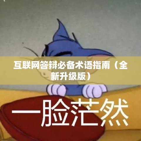 互聯(lián)網(wǎng)答辯必備術(shù)語(yǔ)指南（全新升級(jí)版）
