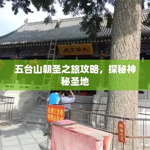 五臺山朝圣之旅攻略，探秘神秘圣地