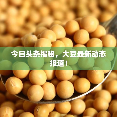 今日頭條揭秘，大豆最新動態(tài)報道！