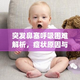 突發(fā)鼻塞呼吸困難解析，癥狀原因與應(yīng)對方法