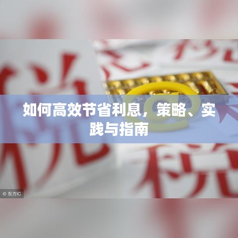如何高效節(jié)省利息，策略、實踐與指南