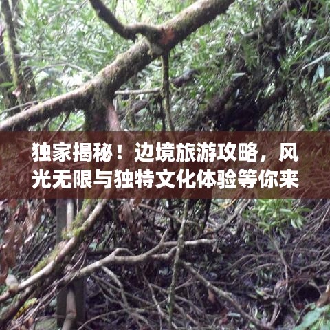 獨(dú)家揭秘！邊境旅游攻略，風(fēng)光無(wú)限與獨(dú)特文化體驗(yàn)等你來(lái)探秘！