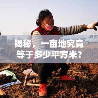 揭秘，一畝地究竟等于多少平方米？土地面積轉(zhuǎn)換全解析！