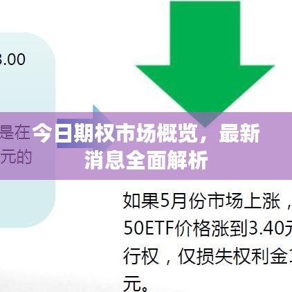 今日期權(quán)市場(chǎng)概覽，最新消息全面解析