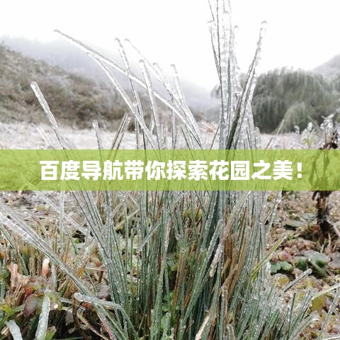 百度導(dǎo)航帶你探索花園之美！