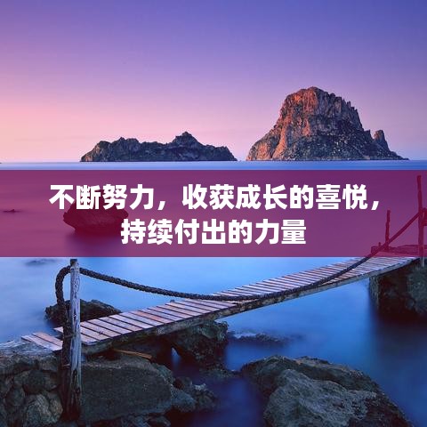 不斷努力，收獲成長的喜悅，持續(xù)付出的力量