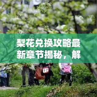 梨花兌換攻略最新章節(jié)揭秘，解鎖虛擬世界財富之門