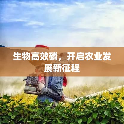 生物高效磷，開啟農(nóng)業(yè)發(fā)展新征程