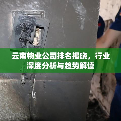 云南物業(yè)公司排名揭曉，行業(yè)深度分析與趨勢解讀
