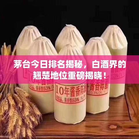 茅臺今日排名揭秘，白酒界的翹楚地位重磅揭曉！