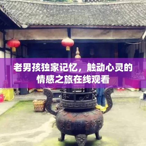 老男孩獨(dú)家記憶，觸動(dòng)心靈的情感之旅在線觀看