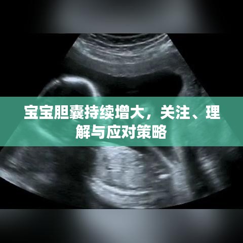 寶寶膽囊持續(xù)增大，關(guān)注、理解與應(yīng)對策略