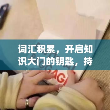 詞匯積累，開啟知識(shí)大門的鑰匙，持續(xù)學(xué)習(xí)成就未來之路