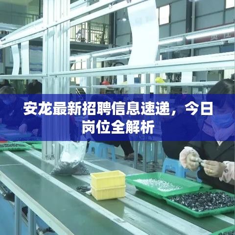 安龍最新招聘信息速遞，今日崗位全解析