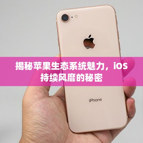 揭秘蘋果生態(tài)系統(tǒng)魅力，iOS持續(xù)風靡的秘密