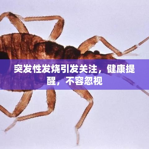 突發(fā)性發(fā)燒引發(fā)關(guān)注，健康提醒，不容忽視
