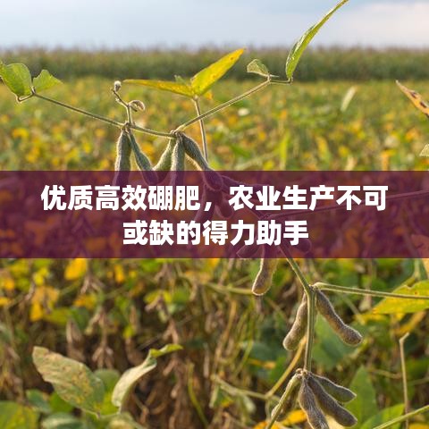 優(yōu)質(zhì)高效硼肥，農(nóng)業(yè)生產(chǎn)不可或缺的得力助手