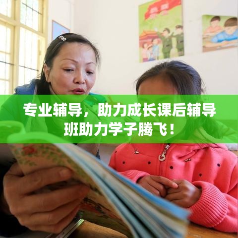 專業(yè)輔導，助力成長課后輔導班助力學子騰飛！
