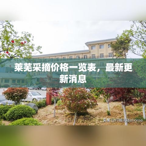 萊蕪采摘價(jià)格一覽表，最新更新消息